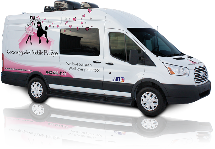 Mobile Dog Grooming Myrtle Beach: The Ultimate Guide for Pet Owners